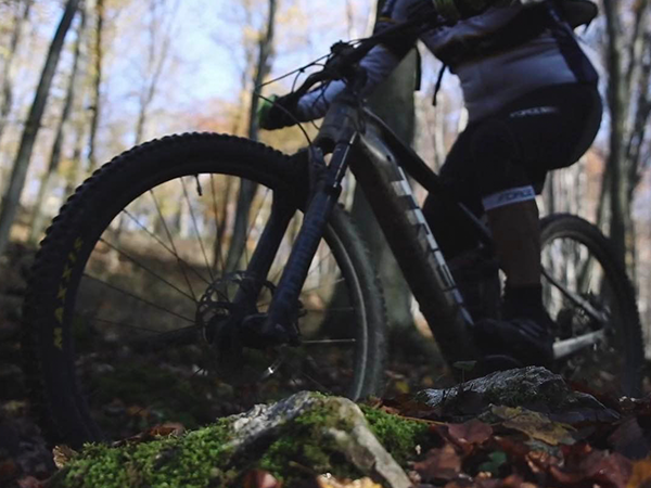 zadarappartman búvárkodás