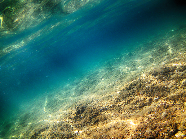 zadarappartman búvárkodás