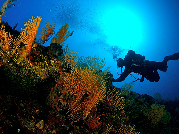 zadarappartman búvárkodás